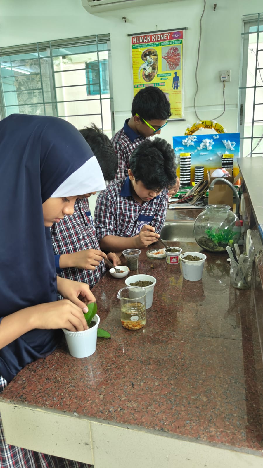 Science and Computer Laboratories